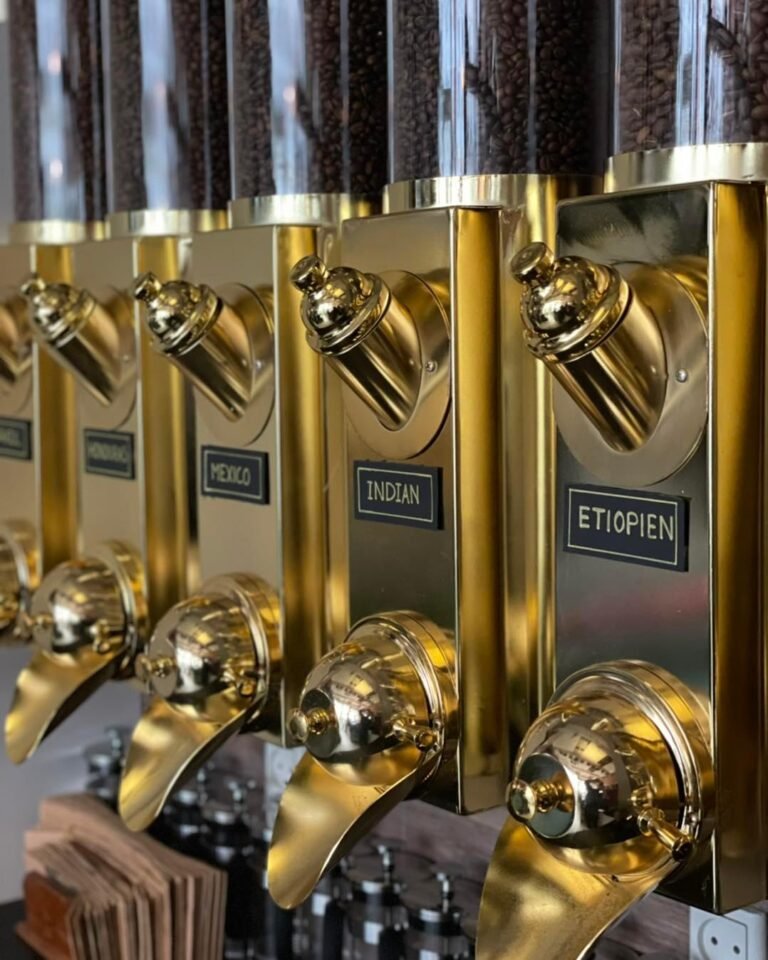 481901187_9544050098987817_452012010325224111_n