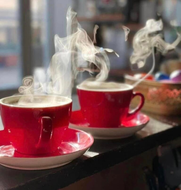 488895629_1221049976689730_615717815515509023_n